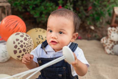 Smash the cake Barra Mansa Fotografia Fotografo Festa Infantil 1 Ano Safari'