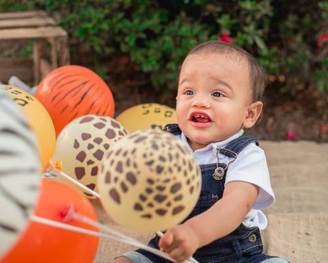 Smash the cake Barra Mansa Fotografia Fotografo Festa Infantil 1 Ano Safari'