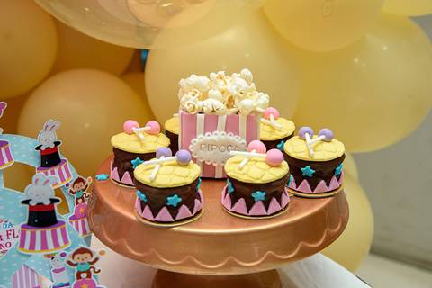 TicTac Barra Mansa Fotografia Fotografo Festa Infantil 1 Ano Circo Rosa'