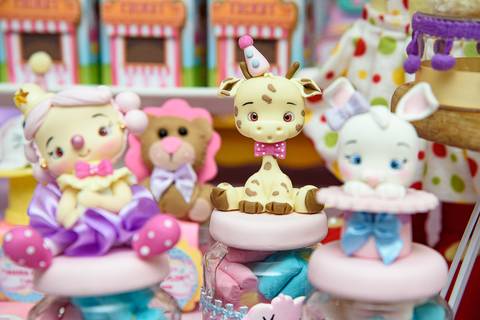 TicTac Barra Mansa Fotografia Fotografo Festa Infantil 1 Ano Circo Rosa'