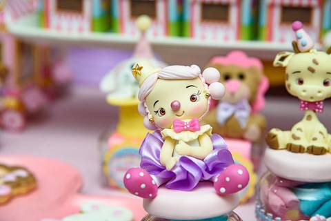 TicTac Barra Mansa Fotografia Fotografo Festa Infantil 1 Ano Circo Rosa'