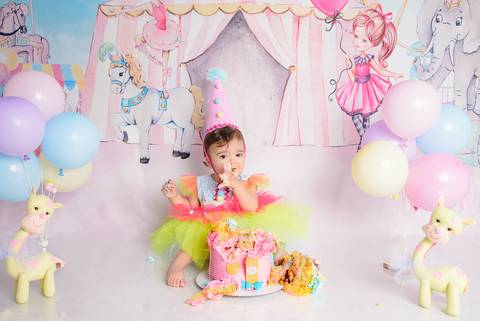 Smash the cake Barra Mansa Fotografia Fotografo Festa Infantil 1 Ano circo rosa'