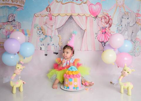 Smash the cake Barra Mansa Fotografia Fotografo Festa Infantil 1 Ano circo rosa'