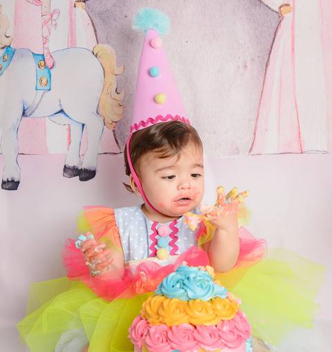 Smash the cake Barra Mansa Fotografia Fotografo Festa Infantil 1 Ano circo rosa'
