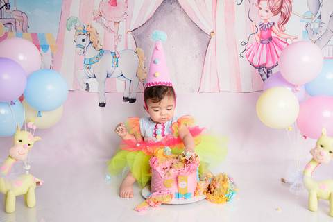 Smash the cake Barra Mansa Fotografia Fotografo Festa Infantil 1 Ano circo rosa'