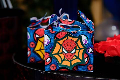 TicTac Barra Mansa Fotografia Fotografo Festa Infantil 5 Anoa Homem Aranha'