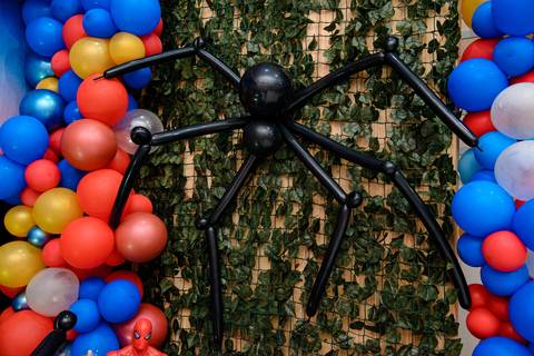 TicTac Barra Mansa Fotografia Fotografo Festa Infantil 5 Anoa Homem Aranha'