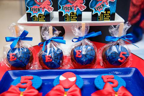 TicTac Barra Mansa Fotografia Fotografo Festa Infantil 5 Anoa Homem Aranha'