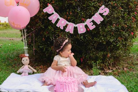 Smash the cake Volta Redonda Fotografia Fotografo Festa Infantil 1 Ano Princesa'