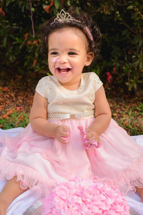 Smash the cake Volta Redonda Fotografia Fotografo Festa Infantil 1 Ano Princesa'