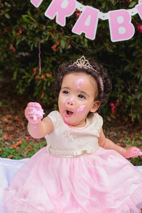Smash the cake Volta Redonda Fotografia Fotografo Festa Infantil 1 Ano Princesa'