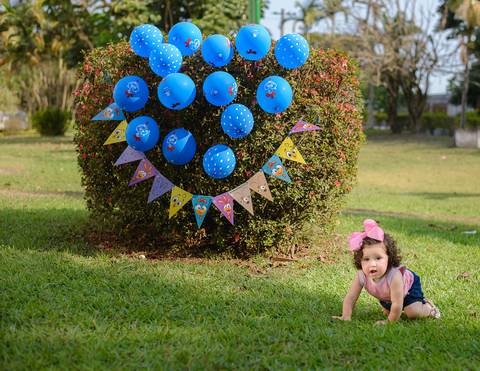 Smash the cake Volta Redonda Fotografia Fotografo Festa Infantil 1 Ano Galinha Pintadinha, Tictac'