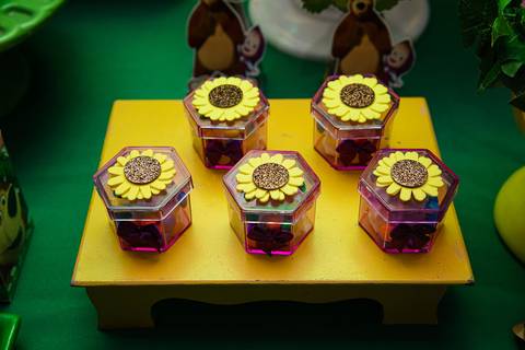 TicTac Barra Mansa Fotografia Fotografo Festa Infantil 1 Ano festa masha e o urso'