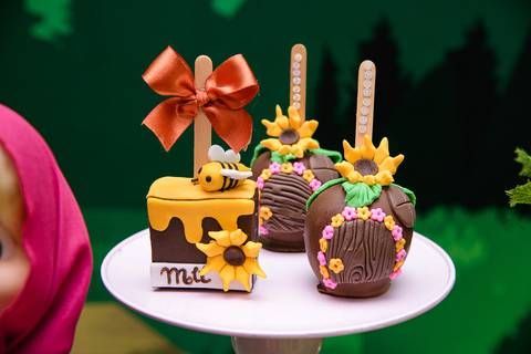 TicTac Barra Mansa Fotografia Fotografo Festa Infantil 1 Ano festa masha e o urso'