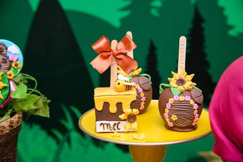 TicTac Barra Mansa Fotografia Fotografo Festa Infantil 1 Ano festa masha e o urso'