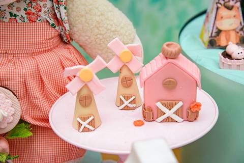 Smash the cake volta redonda barra mansa Fotografia Fotografo Festa Infantil 1 mamae papai ensaio aniversario  tictac festa salao evento'