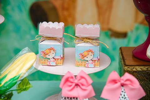 Smash the cake volta redonda barra mansa Fotografia Fotografo Festa Infantil 1 mamae papai ensaio aniversario  tictac festa salao evento'