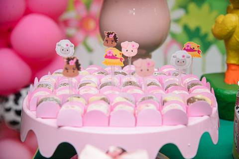 Smash the cake volta redonda barra mansa Fotografia Fotografo Festa Infantil 1 mamae papai ensaio aniversario  w3 kids festa salao'