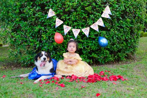 Smash the cake volta redonda barra mansa Fotografia Fotografo Festa Infantil 1 mamae papai ensaio aniversario  bebe tictac festa salao'