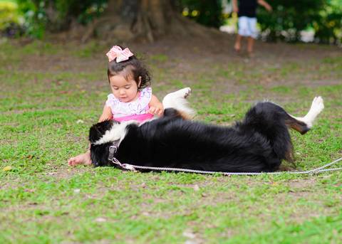 Smash the cake volta redonda barra mansa Fotografia Fotografo Festa Infantil 1 mamae papai ensaio aniversario  bebe tictac festa salao'