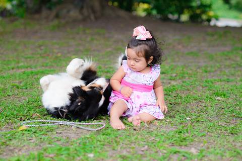 Smash the cake volta redonda barra mansa Fotografia Fotografo Festa Infantil 1 mamae papai ensaio aniversario  bebe tictac festa salao'