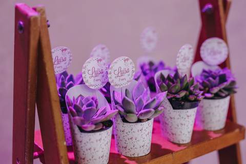 Aniversário de 7 anos com tema de jardim'