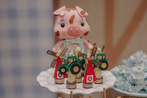 Aniversário de 1 ano com tema de fazenda'