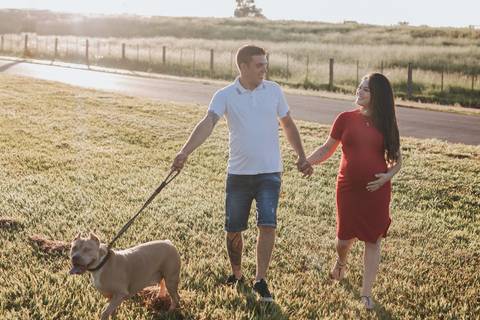 Inspiração de ensaio gestante com cachorro'