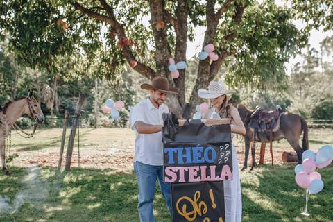 Inspiração de chá revelação com balão'