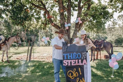 Inspiração de chá revelação com balão'