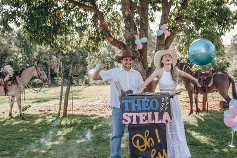 Inspiração de chá revelação com balão'