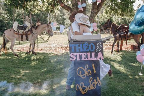 Inspiração de chá revelação com balão'