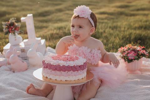 Smash the cake para menina no campo'