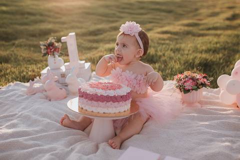 Smash the cake para menina no campo'