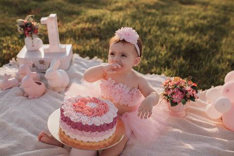 Smash the cake para menina no campo'