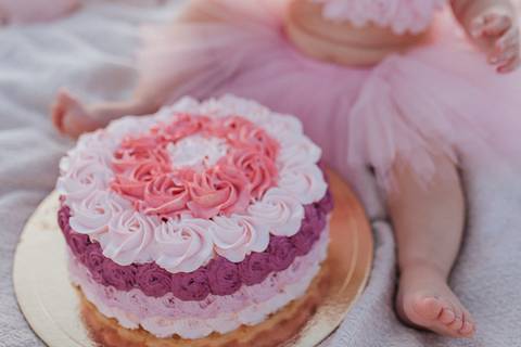 Smash the cake para menina no campo'