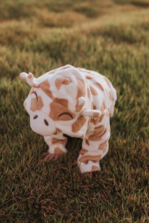 Ensaio em família no campo'