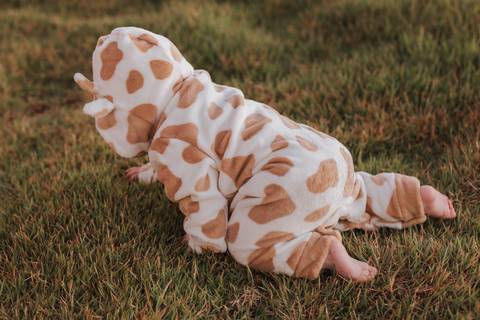 Ensaio em família no campo'