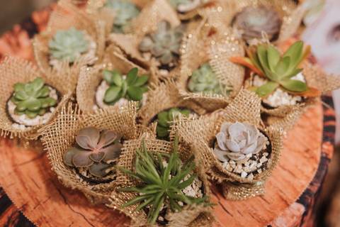 Aniversário de um ano com o tema de bosque encantado'