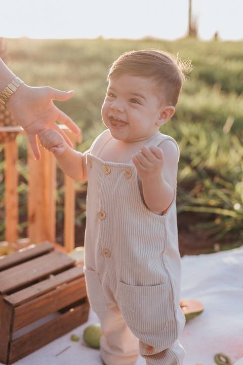 decoração com frutas para menino no campo '