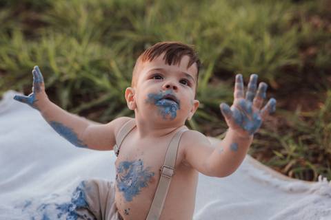 Smash the cake para menino no campo'