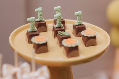 Aniversário infantil com tema do safari baby'