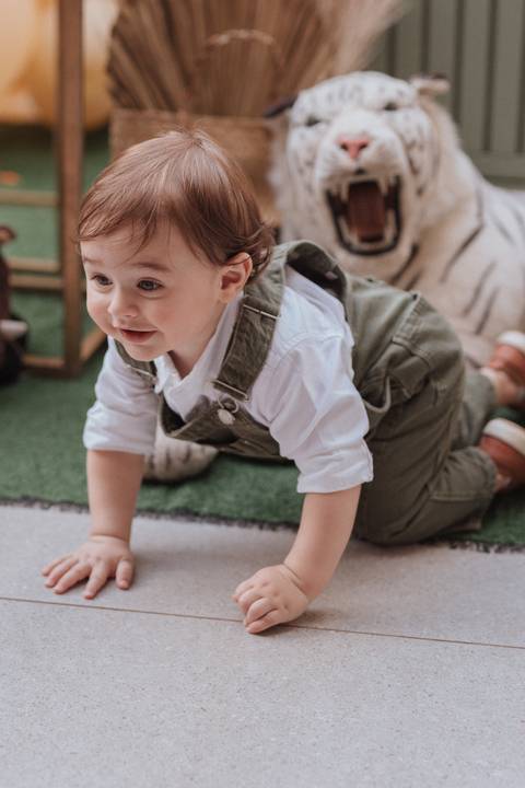 Aniversário infantil com tema do safari baby'