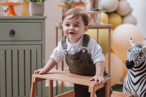 Aniversário infantil com tema do safari baby'