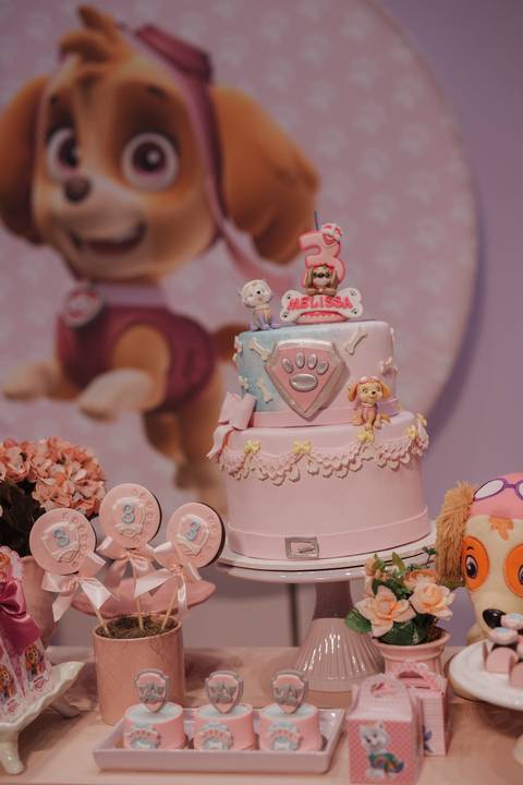Aniversário infantil com tema da patrulha canina'