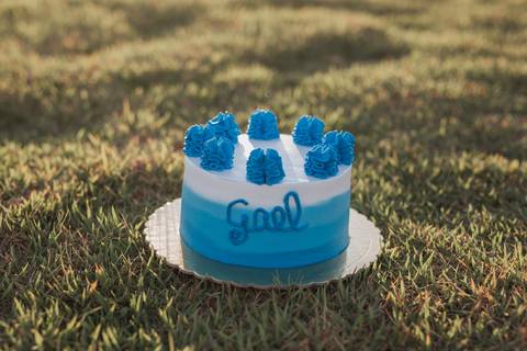 Smash the cake para menino no campo'