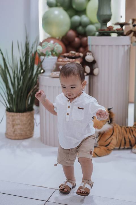 Aniversário infantil com tema de Safari'