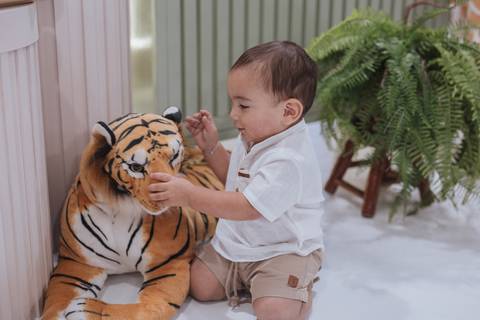 Aniversário infantil com tema de Safari'