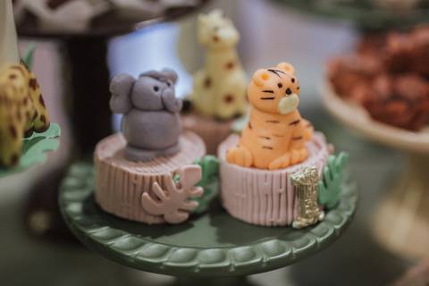 Aniversário infantil com tema de Safari'