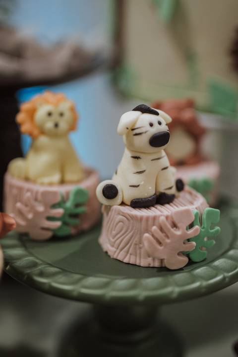 Aniversário infantil com tema de Safari'